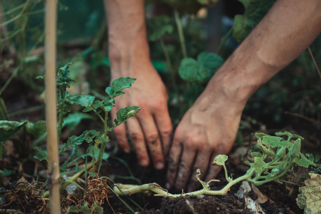 Photo Duurzaam Buiten: Milieuvriendelijke Tuinideeën voor Elk Seizoen