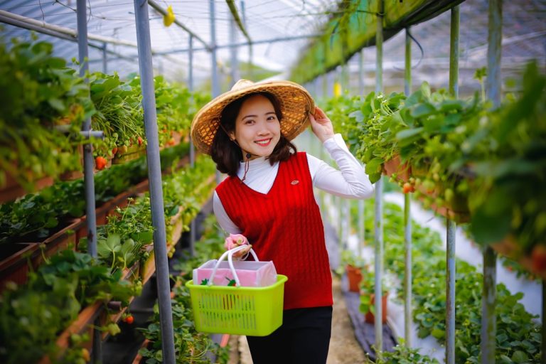 Photo Groen in de Hoogte: Verticale Tuinoplossingen voor Kleine Ruimtes